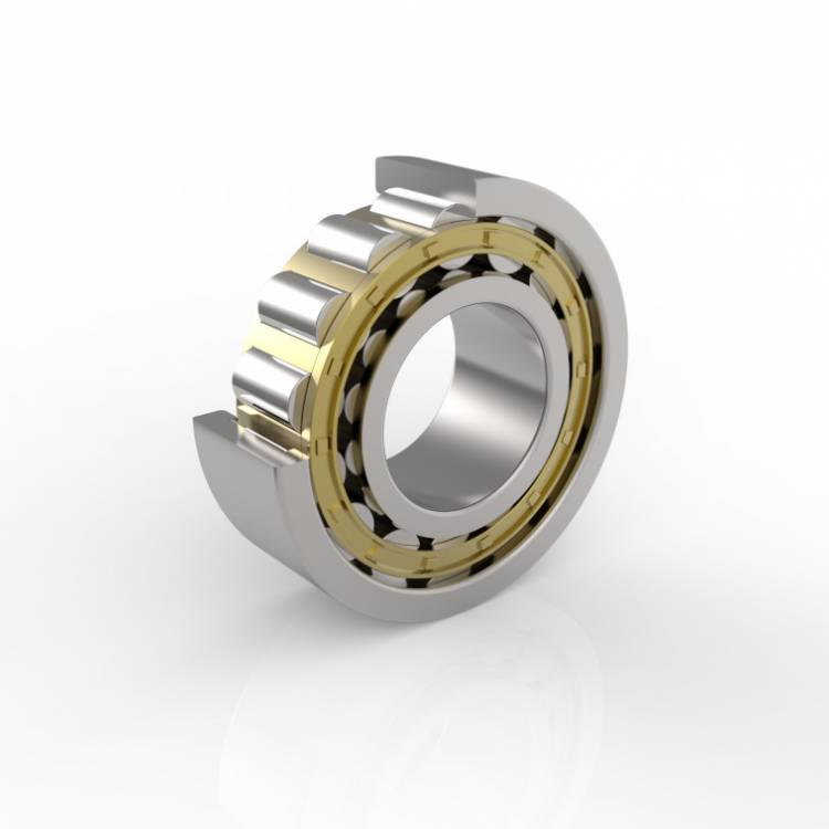 Photo of a cylindrical roller bearing with riveted brass cage