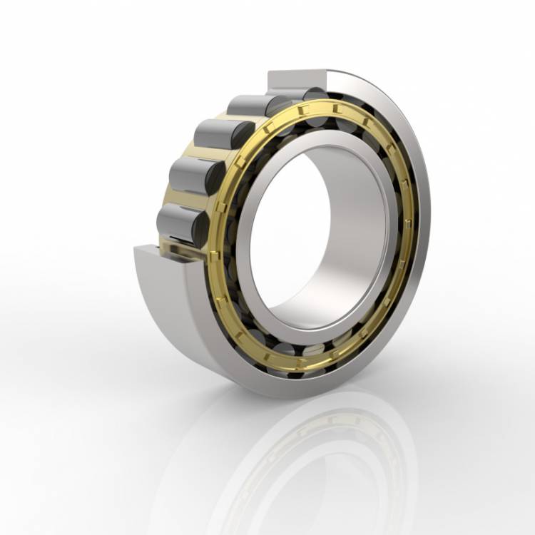 Coated bearings - tribological solution